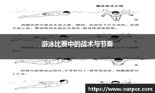 游泳比赛中的战术与节奏